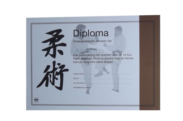 Diploma Jiu-Jitsu Bruine Band
